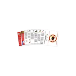 The Gang : Jokers & Variantes - Mini Extension