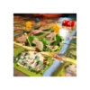 Tiny Epic Quest
