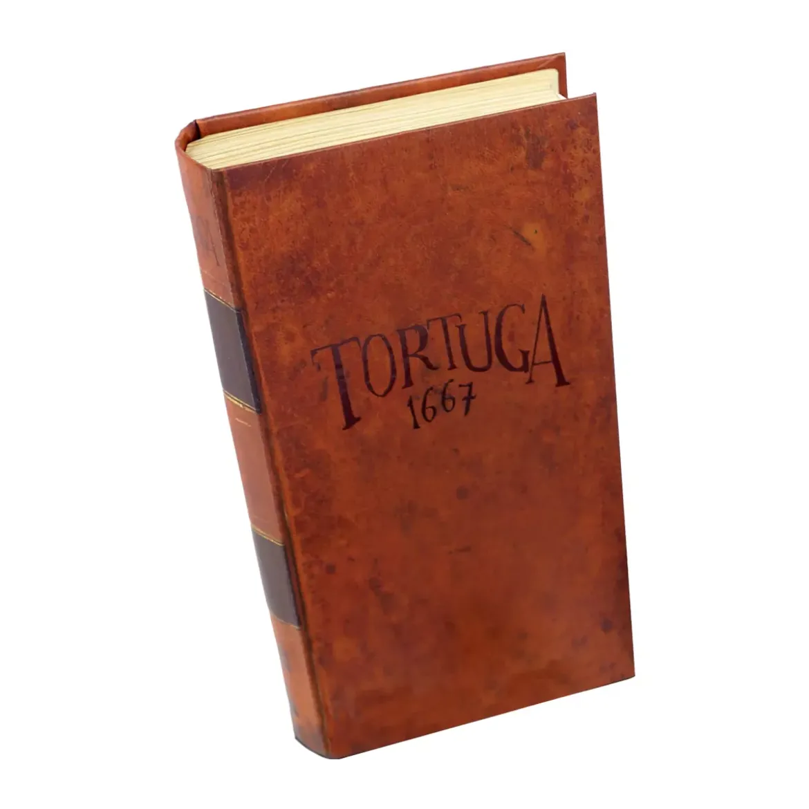 Tortuga 1667
