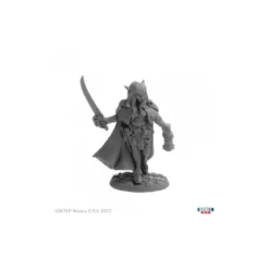 Turvyn, Ghostwalkers - Figurine Héros & Héroïnes Reaper Miniatures