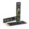 Weathering Watercolor Pencils Set : Green & Brown Shading & Effects Set - AK Interactive