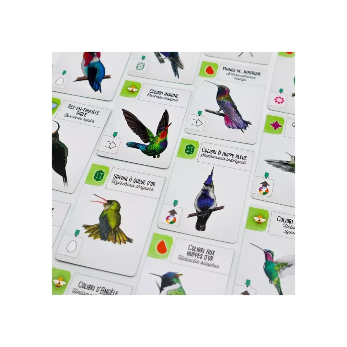 Wingspan : Amériques - Extension