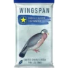 Wingspan : Oiseaux d'Europe - Extension